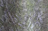 Shalden fibreglass roof work